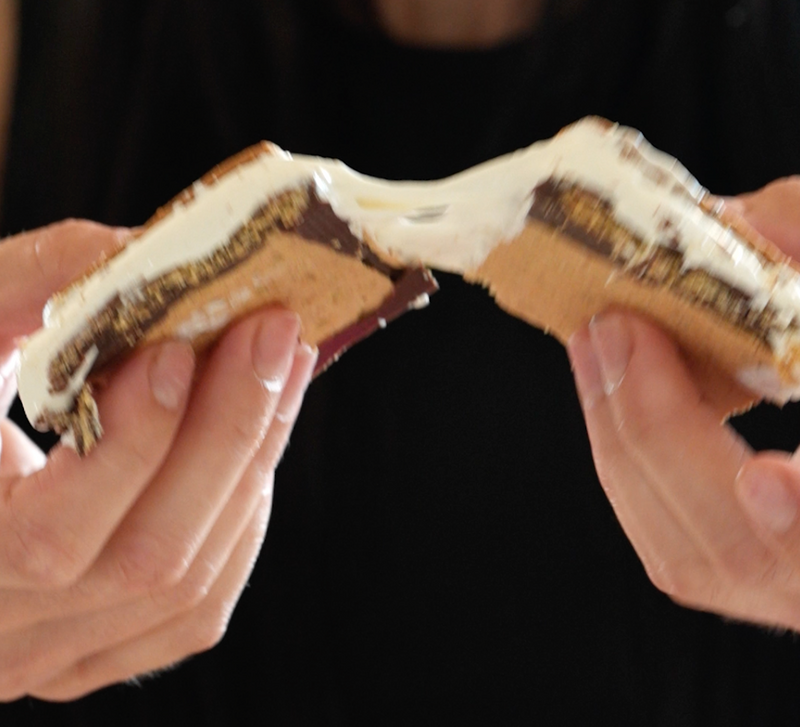 Iso Protein S’mores