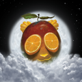 Citrus Mango