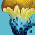 Blue Ras Lemonade