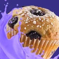 Blueberry Muffin