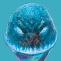 Blue Snow Cone