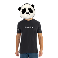 PANDA Minimal