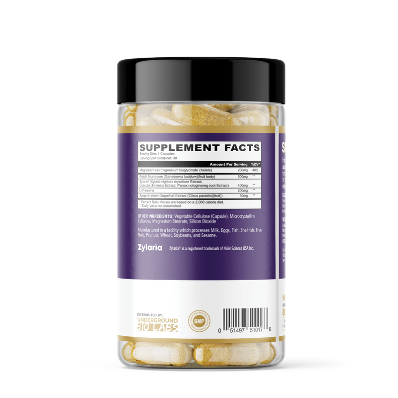 All New Snoozzze (Premium Sleep & Recovery Support) – Panda Supps